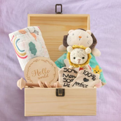 cadeau pour un bebe garçon ensemble doudou lion coffret nouveau-né