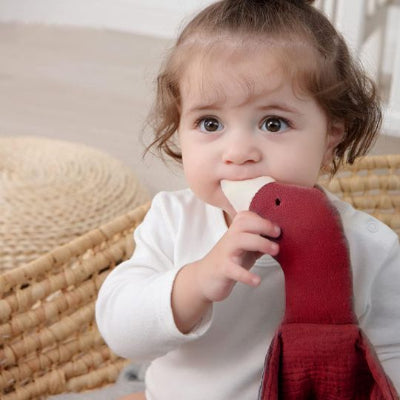 doudou bébé oie en mousseline variante rouge brique